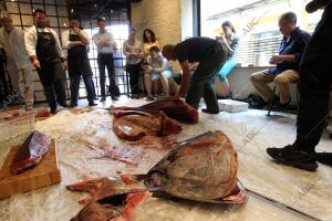 Ronque y despiece de un atún rojo de la almadraba de Barbate de 200 kilos para...