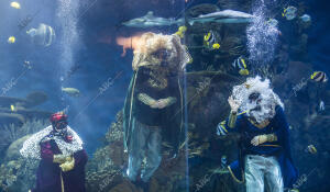 Los Reyes Magos Visitan el Oceanografic de Valencia