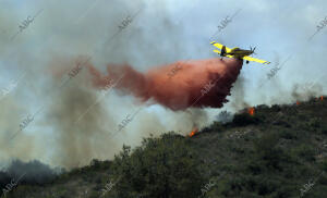 Incendio Forestal