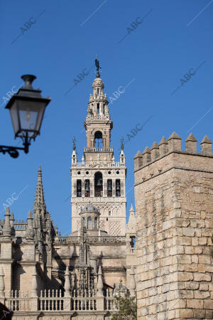 Fotos de la cara sur de la Giralda, donde están retirando los andamios