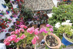 Festival de los patios de Córdoba. Ruta Santiago San Pedro. Patio de la calle...