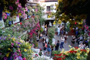 Reportaje de ambiente en los patios de Sasn Basilio