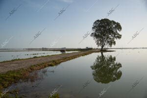 El delta del Ebro después del temporal Gloria