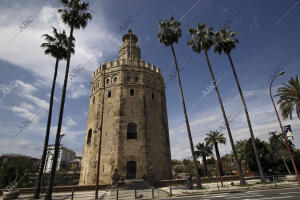 Reportaje de monumentos de Sevilla. En la imagen, la Torre del Oro