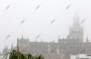 Mañana de niebla en Sevilla