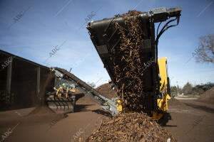 Poda, recogida y reciclaje de las ramas de árboles que resultaron dañados por el...