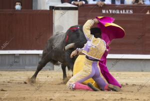 Corrida de Toros de López Chaves, Alberto Lamelas y Jesús E. Colombo