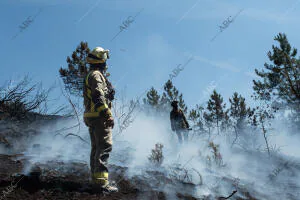 Reportaje de los brigadistas luchando contra el incendio forestal en Folgoso del...