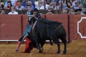 Corrida de toros celebrada en La Maestranza, para los toreros Morante de la...