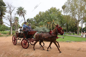 Concurso de carruajes y atalajes dentro de Cabalcor