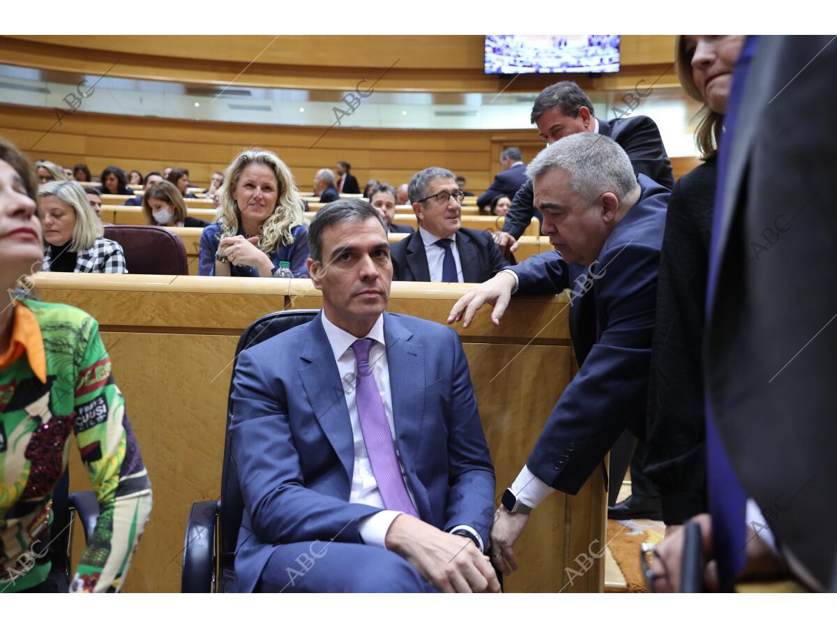 Pleno del Congreso de los Diputados celebrado en el Senado con el ...