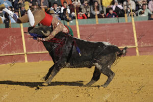 Novillada celebrada en la plaza de toros portátil de La Puebla del Río para el...