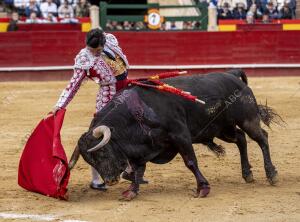 Morante de la Puebla en la Feria de Fallas