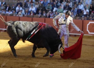 Toros de Santiago Domecq para los toreros José Garrido, David de Miranda y Leo...