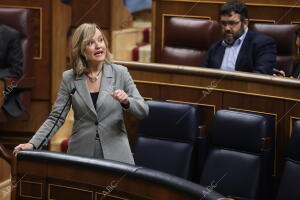 Pleno sesión de control al Gobierno e interpelaciones urgentes