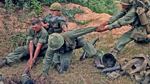 Chinches y abejas asesinas: el cruel plan de EE.UU. para ganar la Guerra de Vietnam