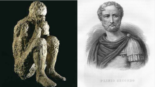 ¿Fin al misterio de Pompeya? El cráneo hallado por casualidad hace un siglo podría ser de Plinio el Viejo