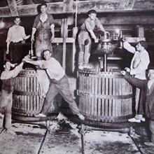 Producción de vino en La Rioja