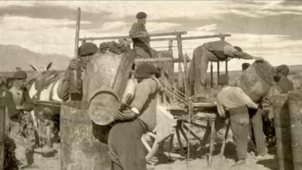La historia de la marca Rioja: un siglo de sudor y lágrimas en peligro por el nacionalismo vasco