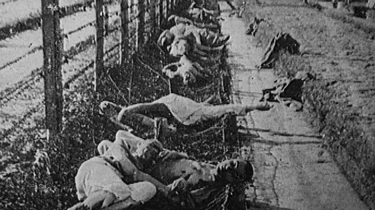 Campo de concentración de Mauthausen