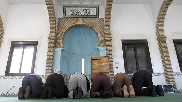 Un grupo de fieles musulmanes reza en su templo en una imagen de archivo