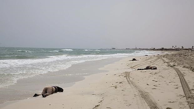 Hallan al menos un centenar de cadáveres en una playa de Libia