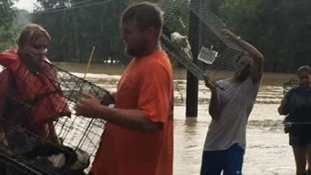 Empleados y voluntarios rescatan a animales de un refugio inundado