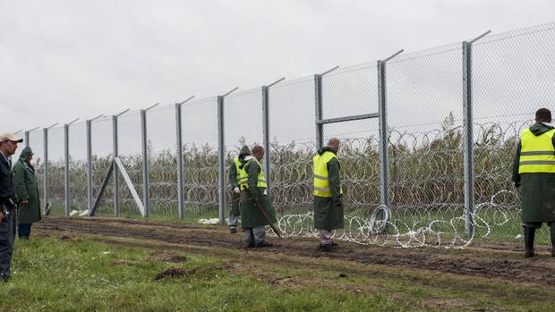 Un grupo de guardias vigilan la construcción de una valla fronteriza entre Hungría y Serbia