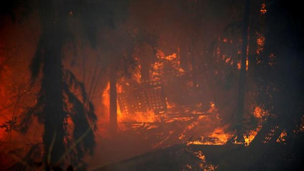 El fuego está devastando zonas de la ciudad de Haifa, en el norte de Israel