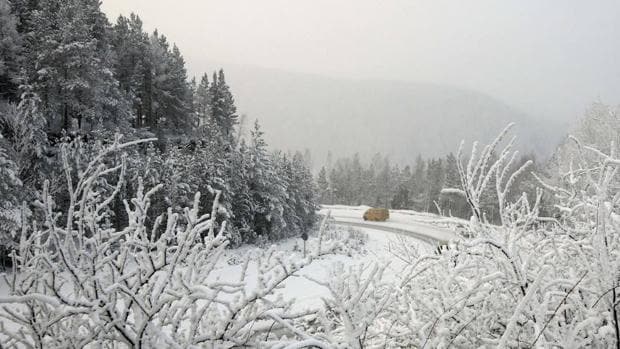 Un bosque nevado a las afueras de una ciudad de Siberia
