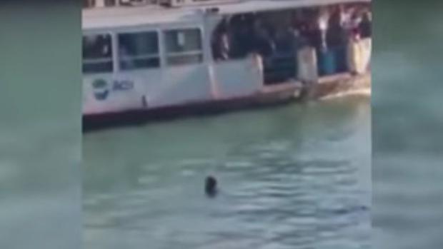 Momento en el que el inmigrante africano se ahoga en Venecia ante la mirada de los turistas