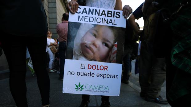 Argentina aprueba el uso medicinal de la marihuana