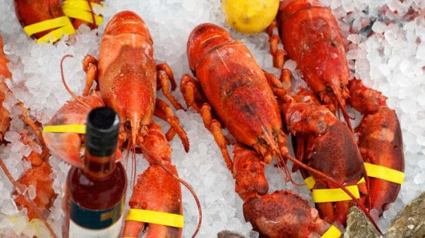 El Tribunal Supremo italiano condena a un restaurante a 5.000 euros de multa por tener langostas en hielo