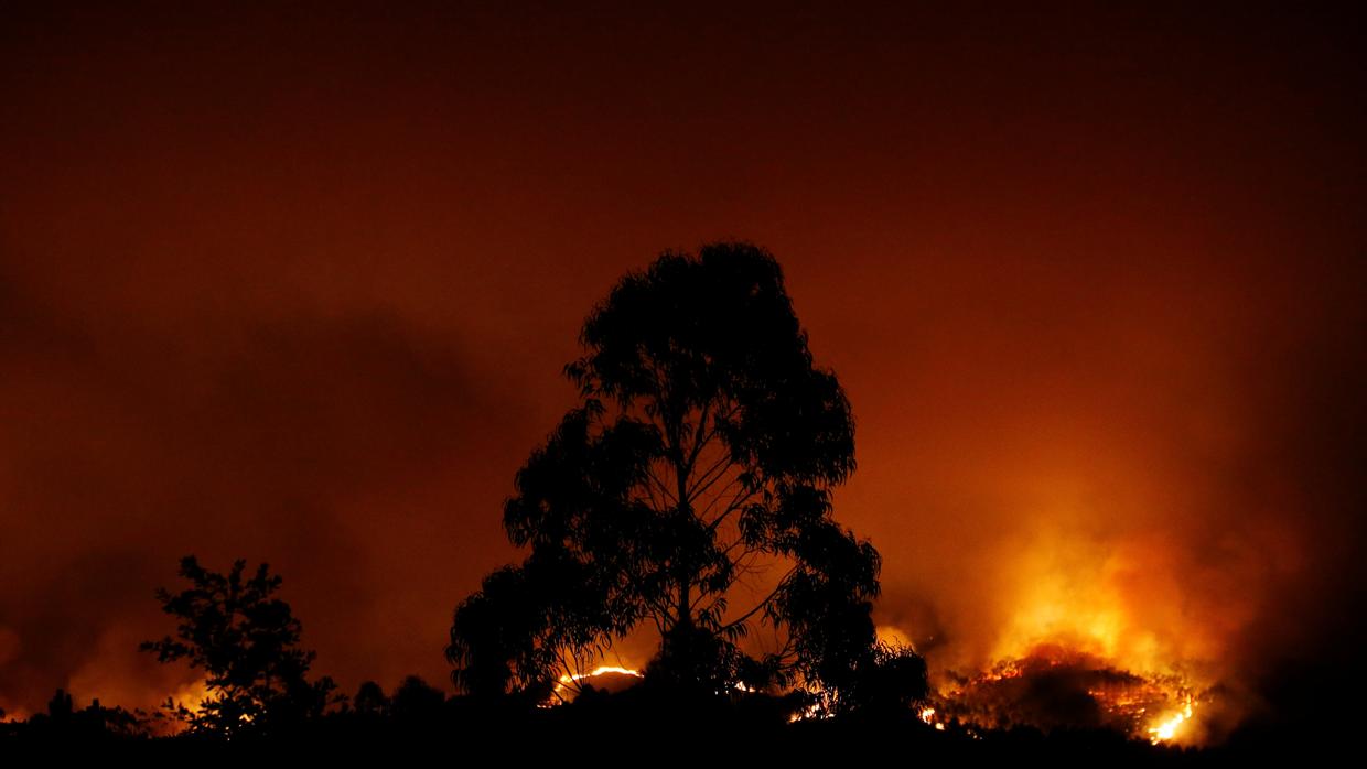 El fuego todavía no ha sido controlado