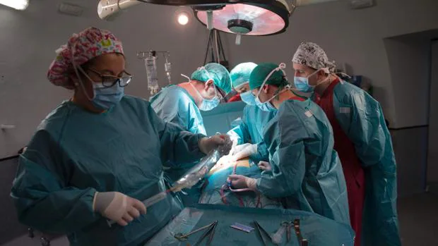 El cirujano Mario Álvarez Maestro y su equipo en una operación de trasplante de riñón