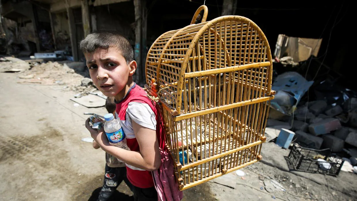 Un niño huye con una jaula durante una ofensiva en la Ciudad Vieja de Mosul