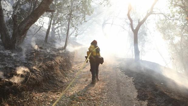 Los incendios en California dejan ya 40 muertos y un éxodo de 100.000 personas evacuadas