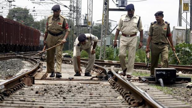 La Policía india lanza un operativo para capturar al mono que secuestró a un bebé encontrado muerto