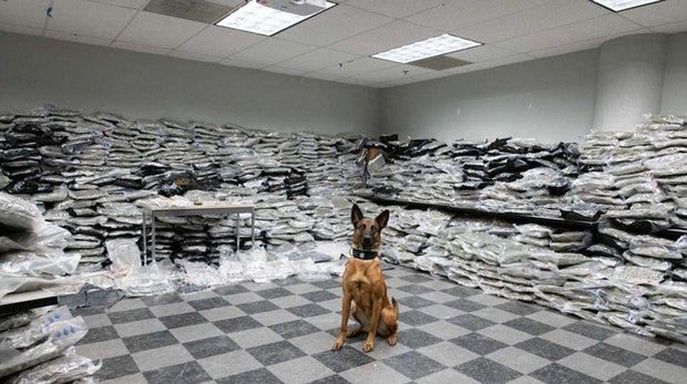 Un perro descubre más de 600 kilos de marihuana dentro de un coche durante un control policial