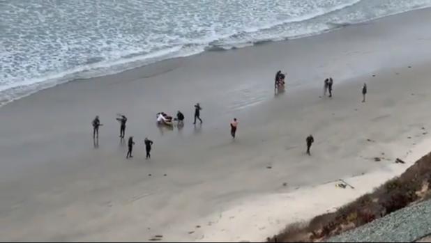 Un tiburón de tres metros muerde a un niño de 13 años y lo deja en estado crítico