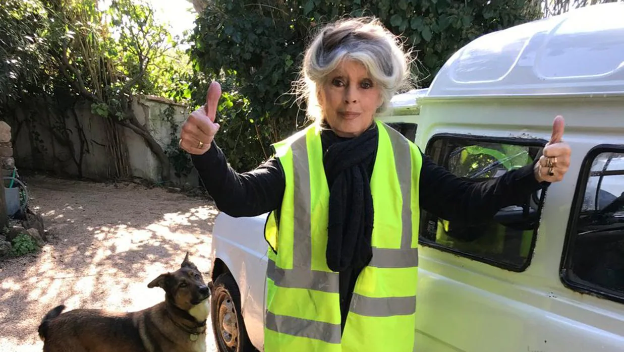 Brigitte Bardot posa con un chaleco amarillo, símbolo de las últimas protestas contra Emmanuel Macron