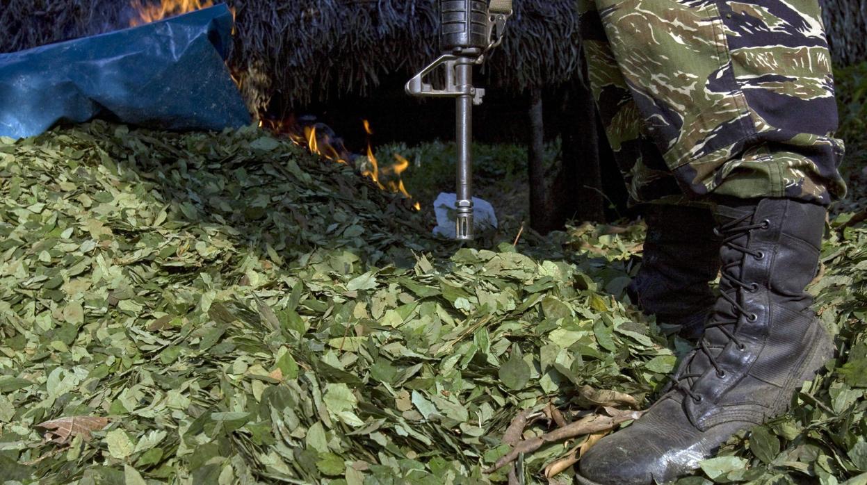 Un miembro de la Policía Antidrogas peruana en un depósito de hoja de coca lista para ser usada en la elaboración de pasta básica de cocaína