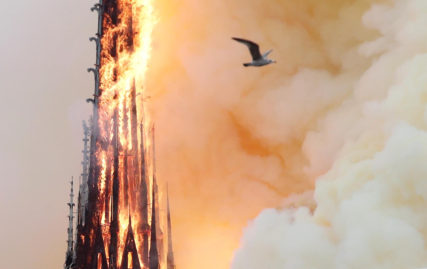 El devastador incendio que consume la catedral de Notre Dame de París, en imágenes