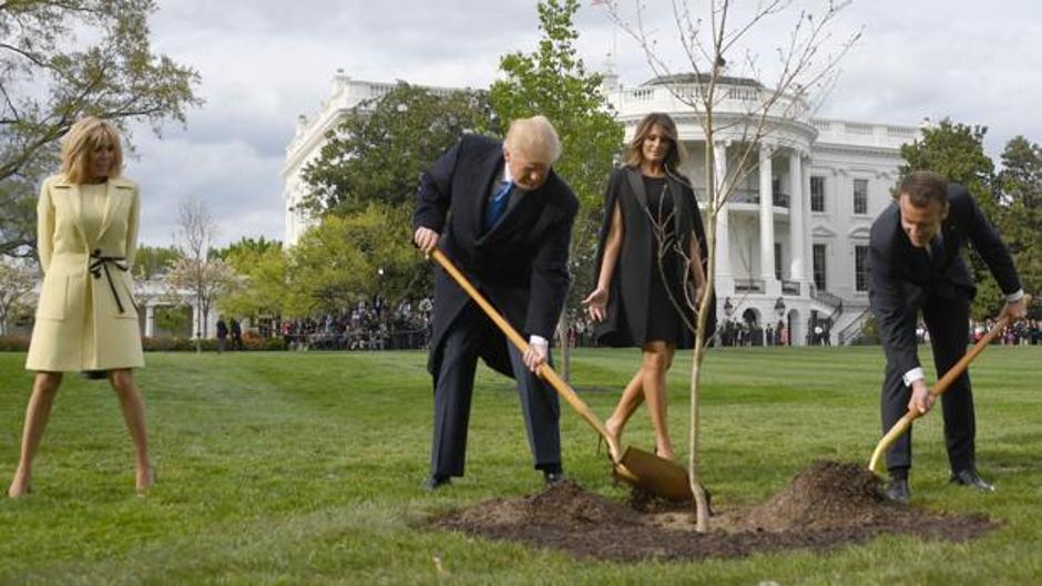 Fallece el «árbol de la amistad» que plantaron Trump y Macron en la Casa Blanca