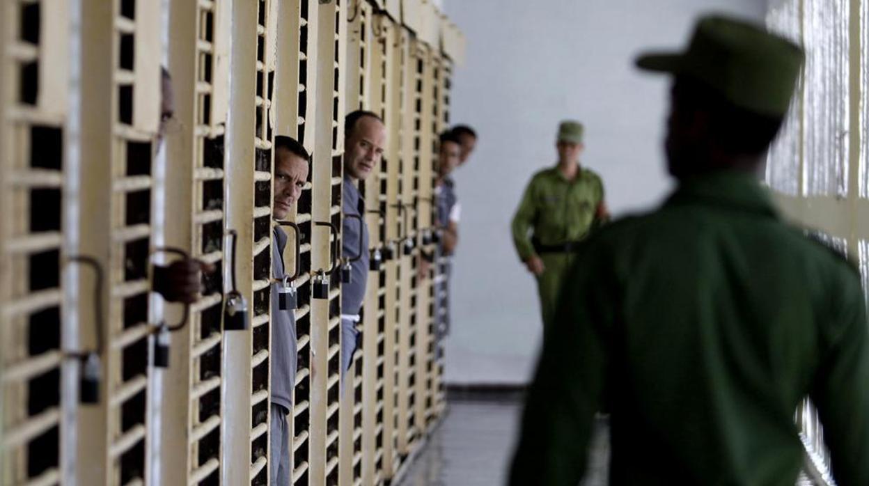 Amnistía Internacional reconoce cinco nuevos presos de conciencia en Cuba