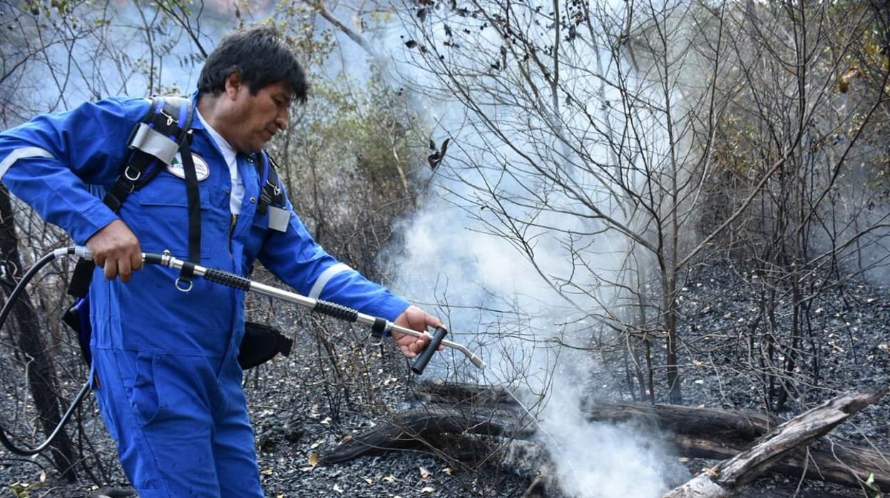 Evo Morales echa agua en una zona quemada de Santa Rosa en una foto distribuida por la Presidencia boliviana