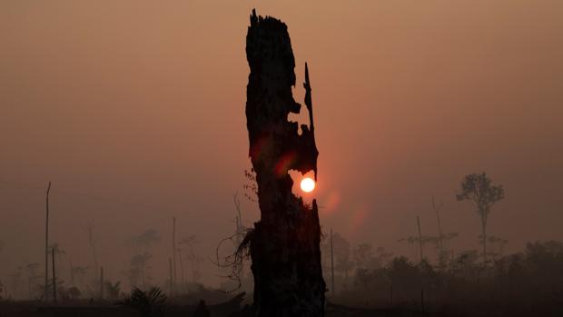 Arrestados en Brasil tres sospechosos de causar incendios en la Amazonia