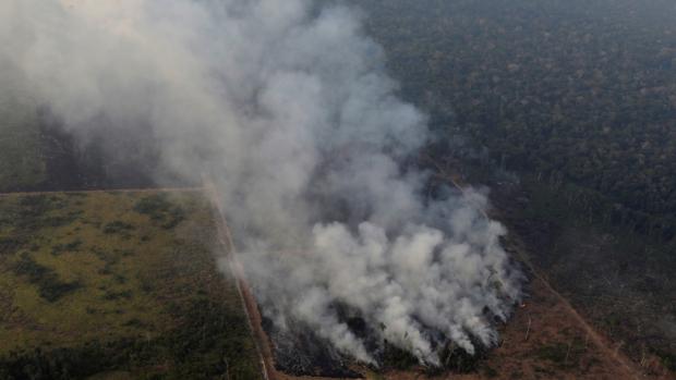 Los incendios de Bolivia y Brasil extenderán el cultivo de coca y soja