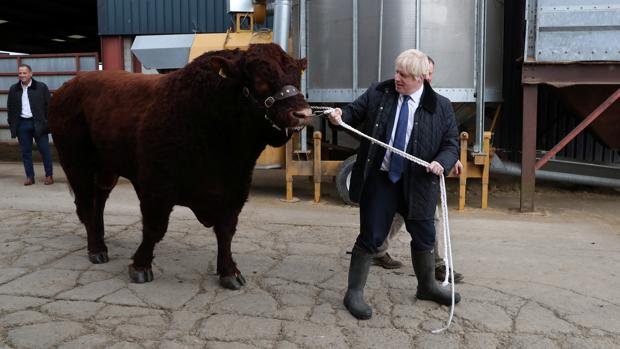 La oposición unida impide a Johnson adelantar las elecciones a octubre