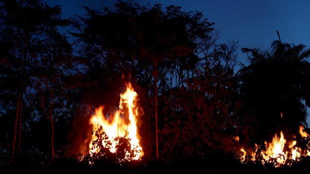 El daño medioambiental de China en la Amazonia